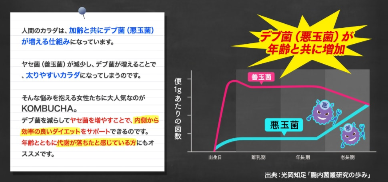 KOMBUCHA”コンブチャ生サプリメント”　効果効能